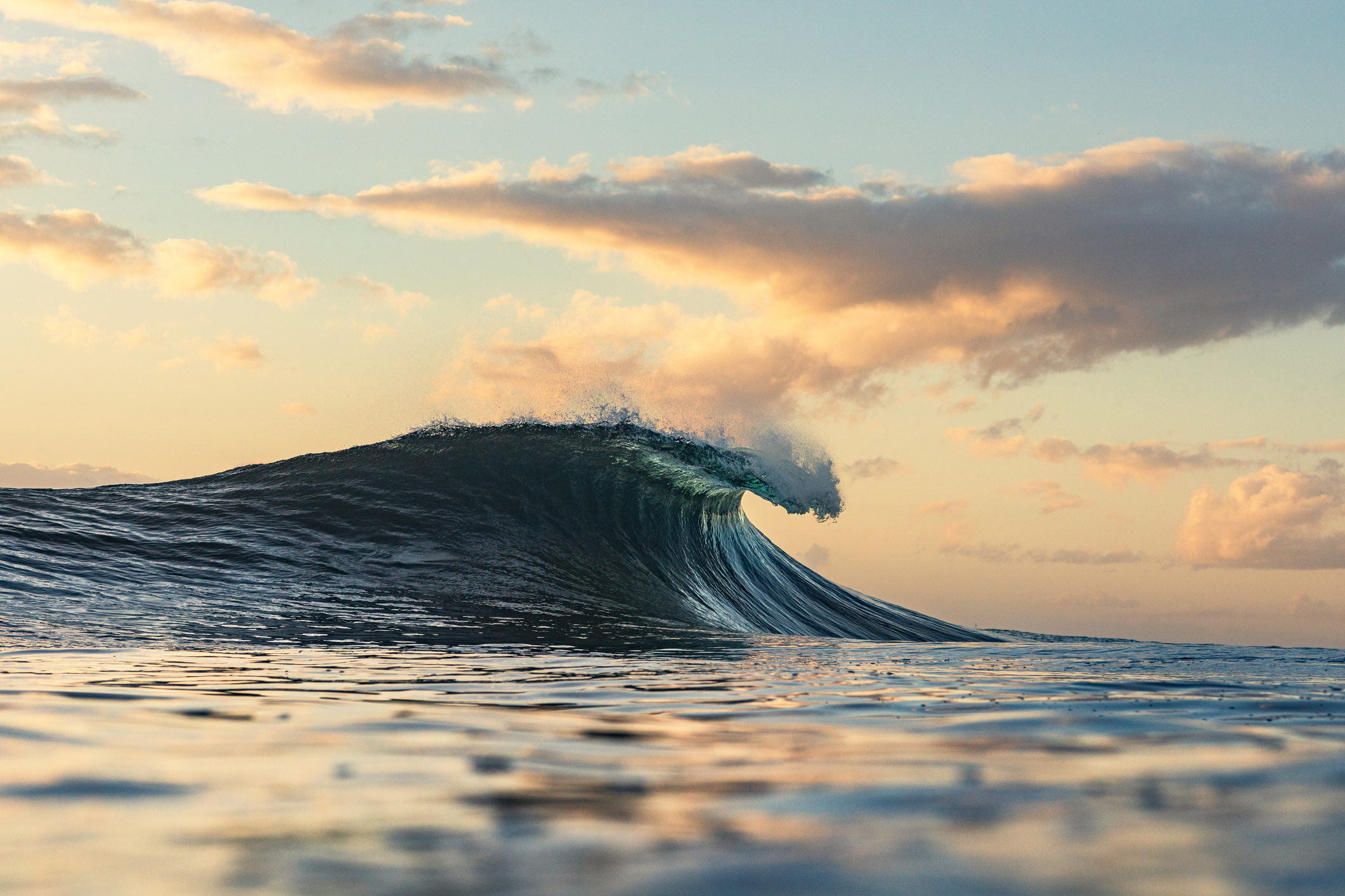 Wave forming in the ocean with golden light