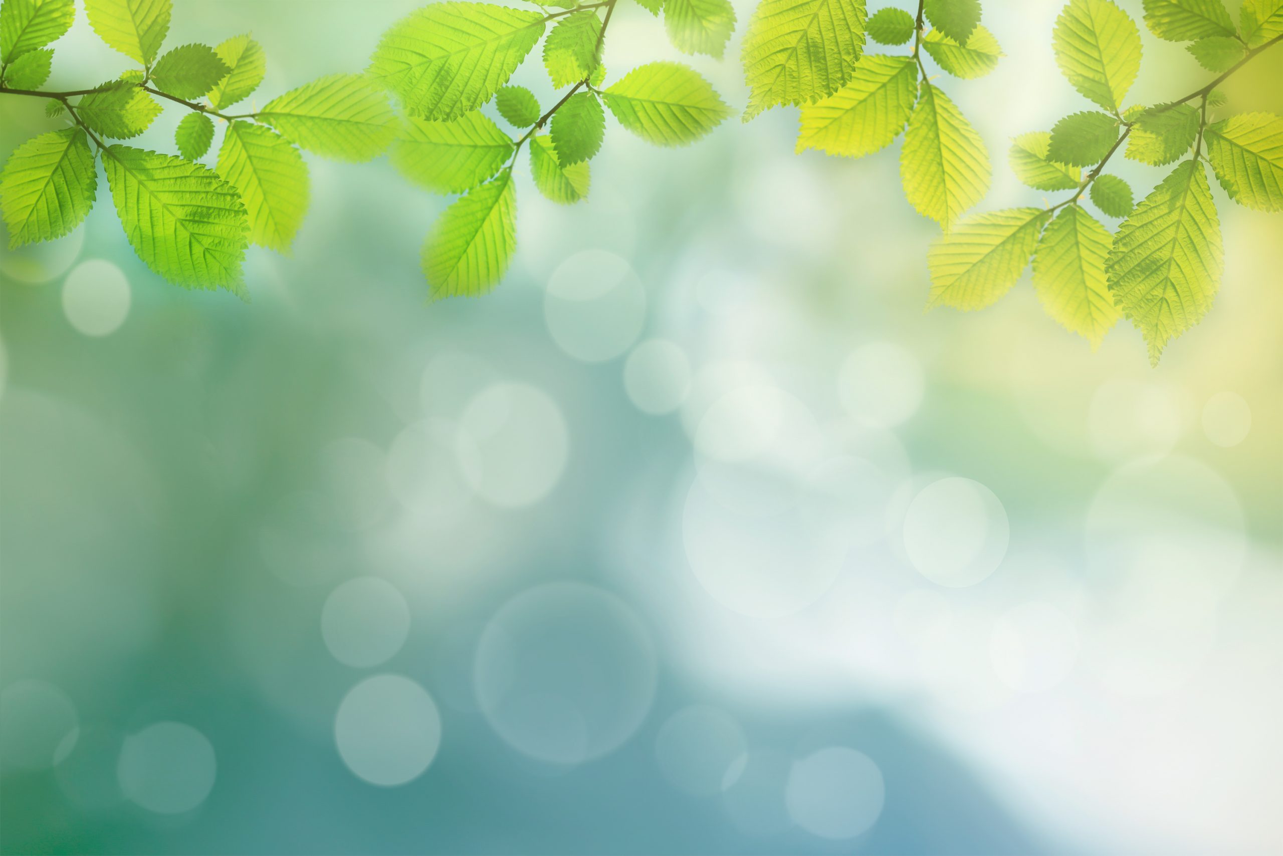 Sage Advisory Services Invest With Wisdom Sage Advisory Services Invest With Wisdom